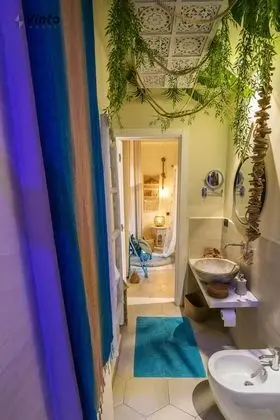 Deluxe Tek Büyük Yataklı Oda, 1 En Büyük (King) Boy Yatak, Özel Banyo