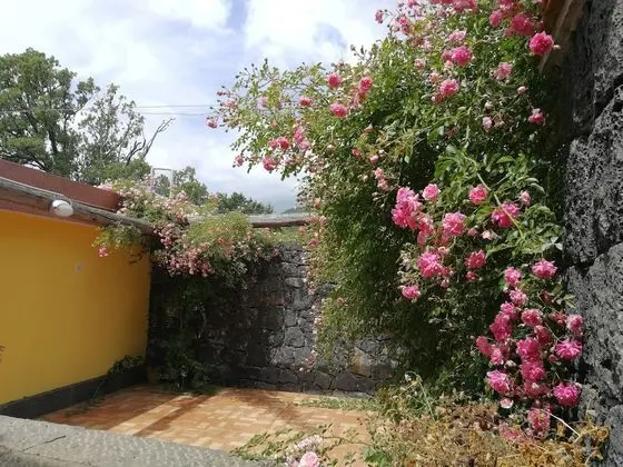 Tek Büyük Yataklı Oda, Veranda