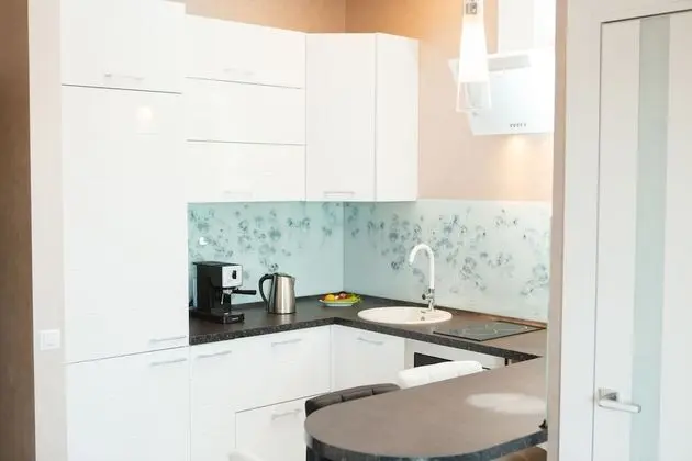 Luxury Apart Daire, 1 En Büyük (King) Boy Yatak ve Çekyat, Şömine (Tulpanov st.,bldg 3,apt 44)