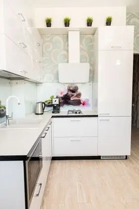 Luxury Apart Daire, 1 En Büyük (King) Boy Yatak (Yuzhnih Kultur st., bldg.10a, apt.26)