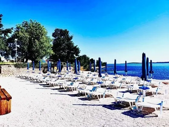 Daire, 2 Yatak Odası, Veranda