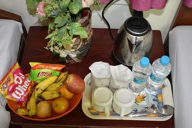 Standard İki Ayrı Yataklı Oda, 2 Tek Kişilik Yatak, Şehir Manzaralı