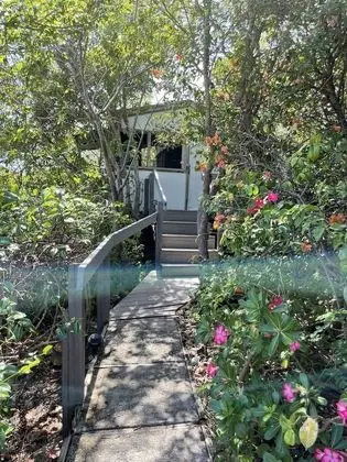 Superior Tree House (1 Queen and Double Futon) With Shared Bathroom