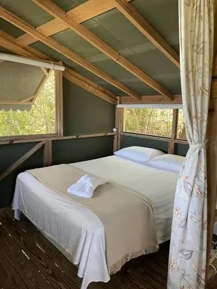 Superior Tree House (1 Queen and Double Futon) With Shared Bathroom