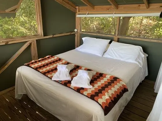 Superior Tree House (1 Queen and Double Futon) With Shared Bathroom
