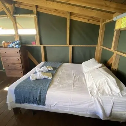 Superior Tree House (1 Queen and Double Futon) With Shared Bathroom