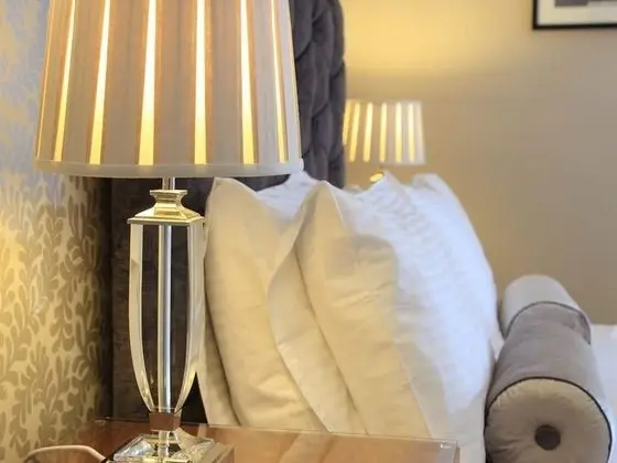 Tek Büyük Yataklı Oda, Banyolu/Duşlu (room)