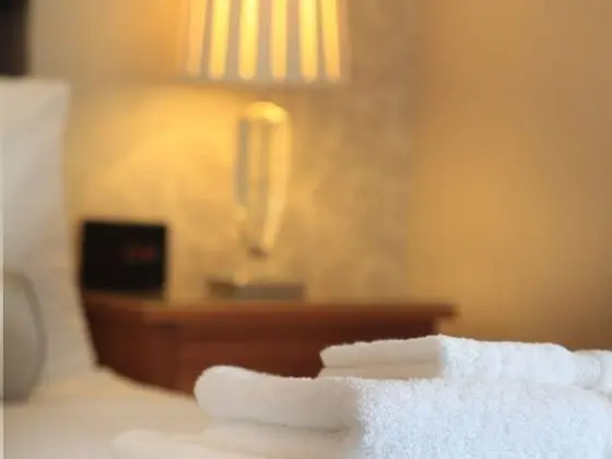 Tek Büyük Yataklı Oda, Banyolu/Duşlu (room)