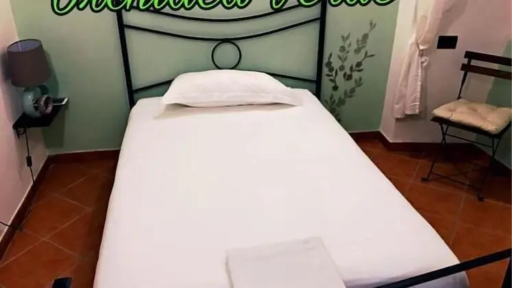 Tek Kişilik Oda (Orchidea verde)