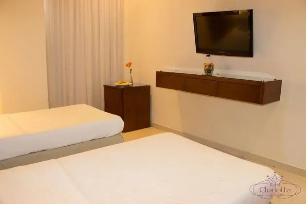 Habitacion Estandar Twin Bed