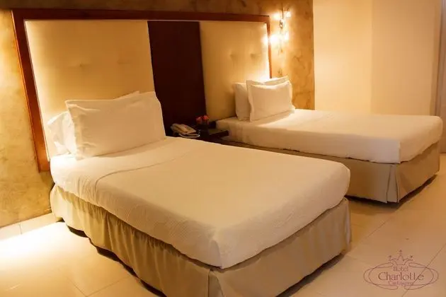 Habitacion Estandar Twin Bed