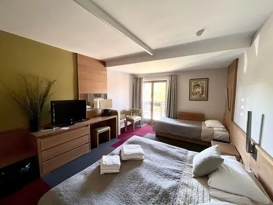 Superior Tek Büyük Yataklı Oda