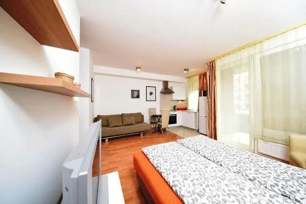 Superior Studio Apartment