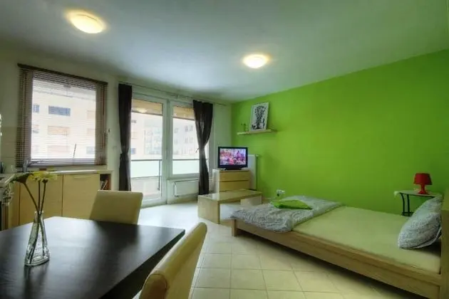 Superior Studio Apartment