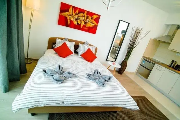 Superior Studio Apartment