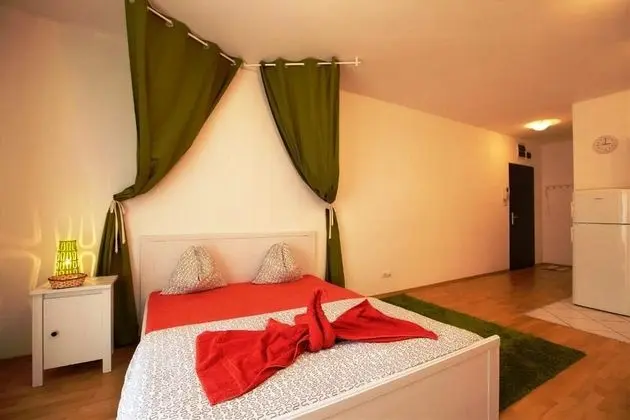 Superior Studio Apartment
