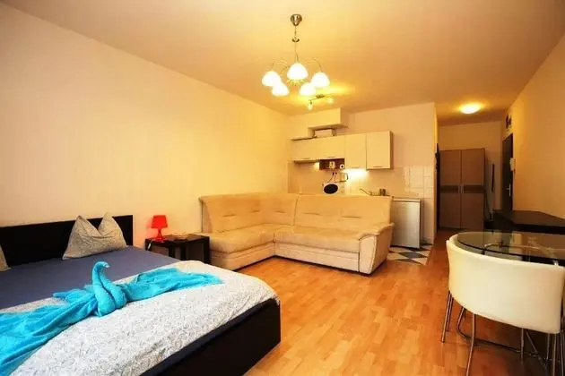 Superior Studio Apartment