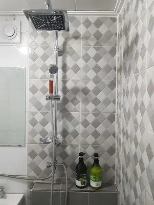 Ev