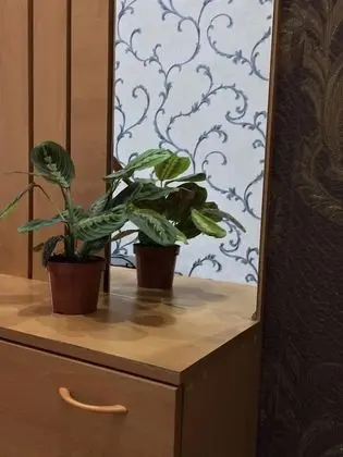 Standard Üç Kişilik Oda