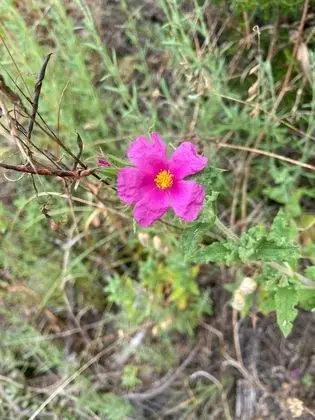Comfort Ev, Özel Banyo