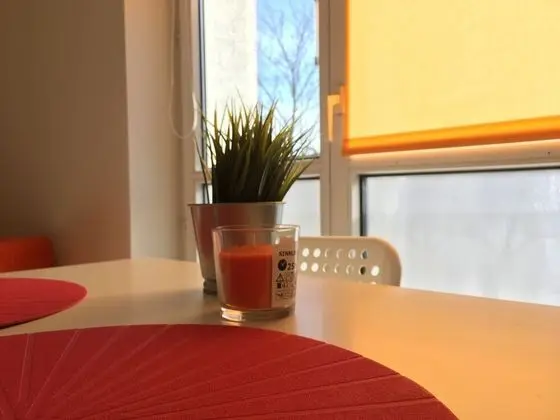 Premium Apart Daire, Birden Çok Yatak, Sigara İçilmez, Şehir Manzaralı