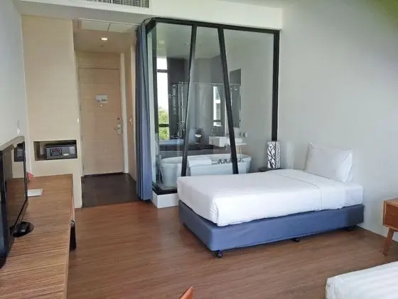 Deluxe room only (No Breakfast / No Transfer)