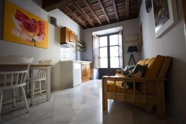 Palace Vista Alhambra "Albaicin" Apto 3