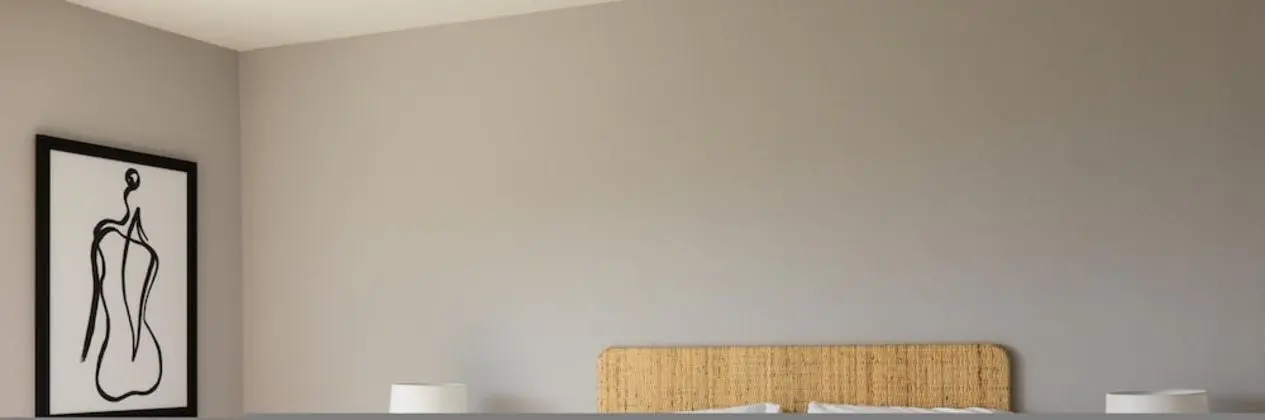 Ev