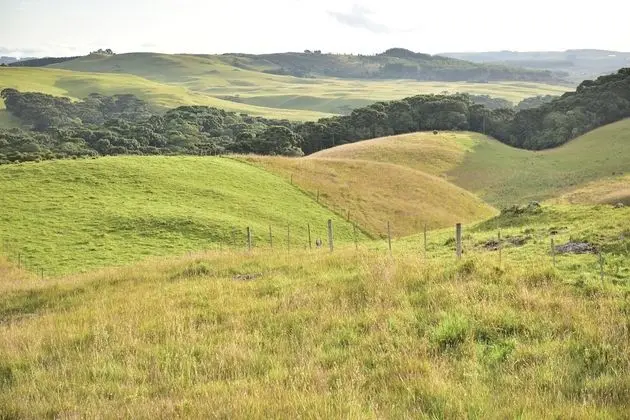 Deluxe Dağ Evi, 1 Yatak Odası, Jakuzi, Vadi Manzaralı