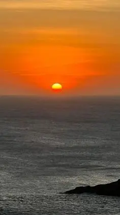 Standard Apart Daire