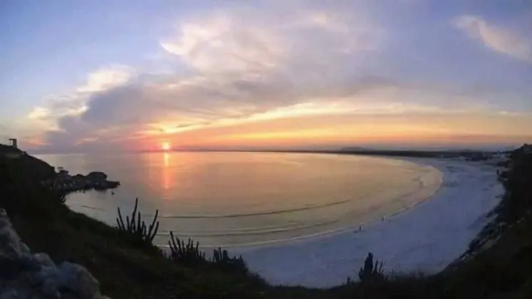 Standard Apart Daire