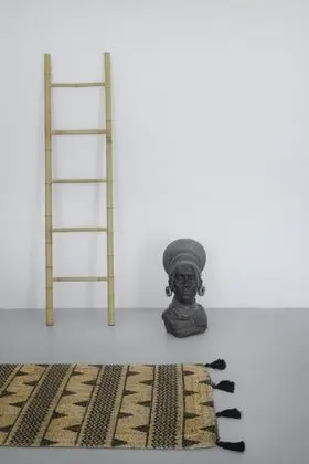 Ev