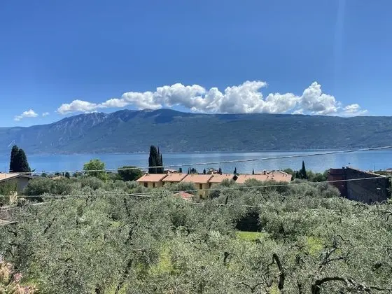 Classic Tek Büyük Yataklı Oda (El Lac)