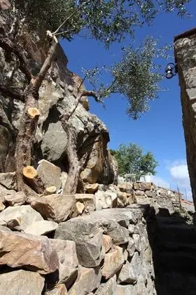 Ev, 1 Yatak Odası, Sigara İçilebilir, Balkon