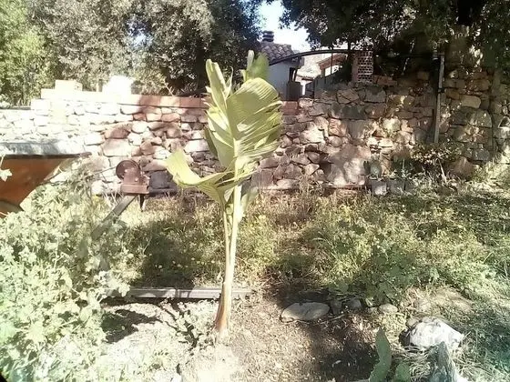 Apart Daire, 2 Yatak Odası, Veranda