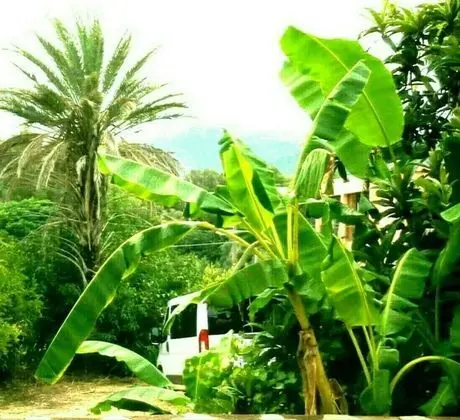 Apart Daire, 2 Yatak Odası, Veranda