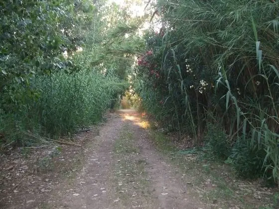 Apart Daire, 2 Yatak Odası, Veranda