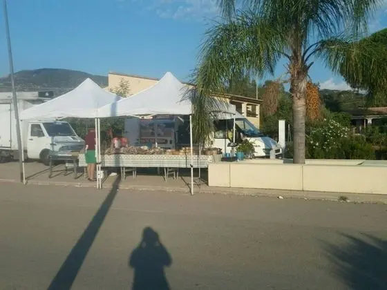 Apart Daire, 2 Yatak Odası, Veranda