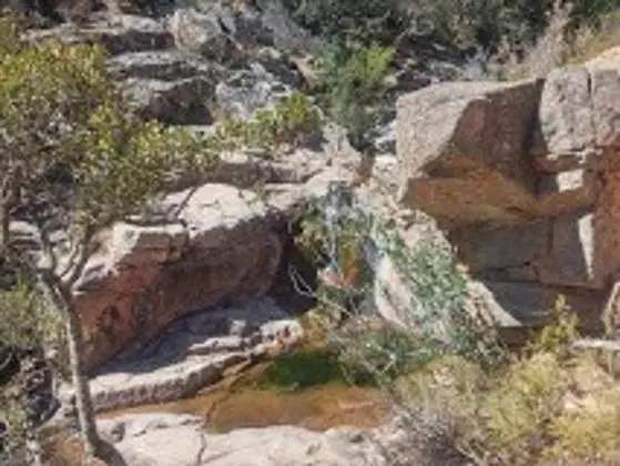 Apart Daire, 2 Yatak Odası, Veranda