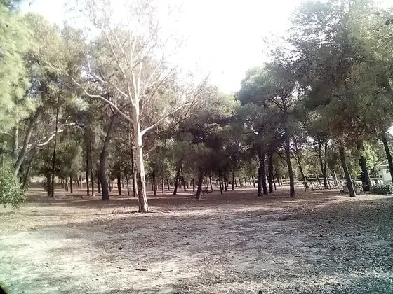 Apart Daire, 2 Yatak Odası, Veranda