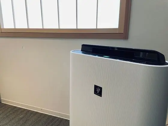 Deluxe İki Ayrı Yataklı Oda (For 3 people)