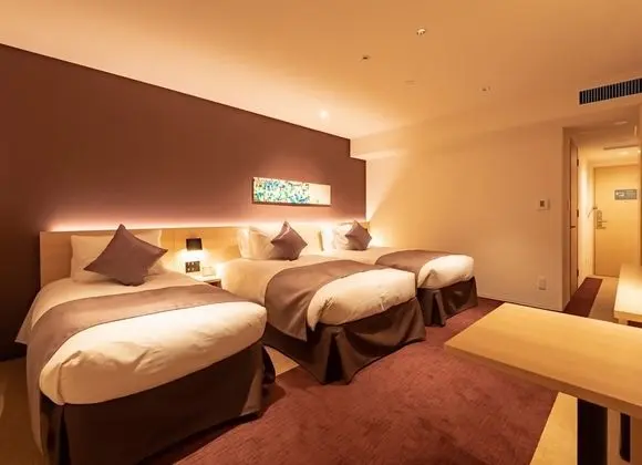 Deluxe İki Ayrı Yataklı Oda (For 3 people)