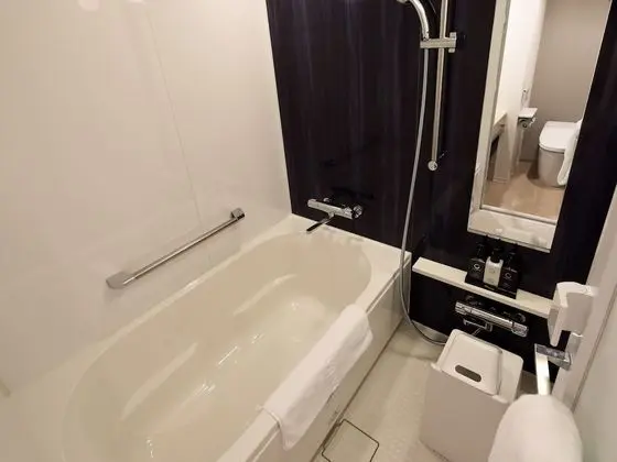 Deluxe İki Ayrı Yataklı Oda (For 3 people)