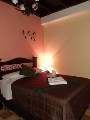 Tek Büyük Yataklı Oda, 1 Çift Kişilik Yatak, Özel Banyo