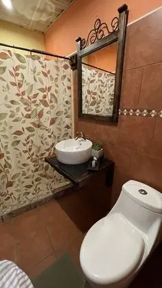 Tek Büyük Yataklı Oda, 1 Çift Kişilik Yatak, Özel Banyo