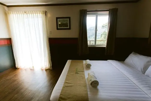 Deluxe Oda, 1 Çift Kişilik Yatak