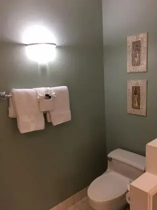 Daire, Birden Çok Yatak (Vista Waikoloa D102)