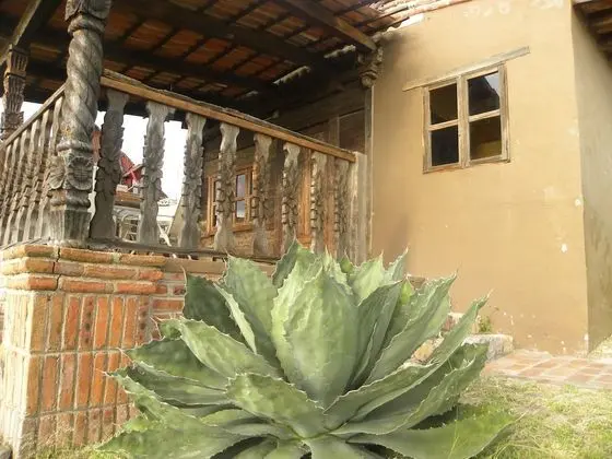 Dağ Evi, 1 Yatak Odası