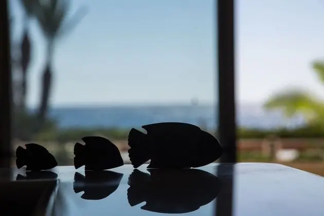 Luxury Apart Daire, 2 Yatak Odası, Teras