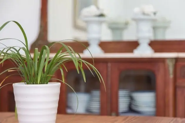 Luxury Apart Daire, 2 Yatak Odası, Teras